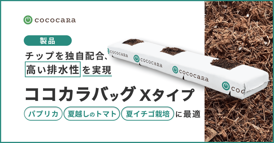 グローバッグXタイプ用サムネ