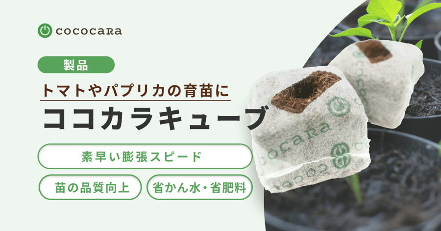 ココカラキューブ