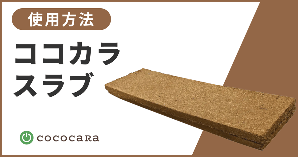 ココカラスラブ用サムネ-1