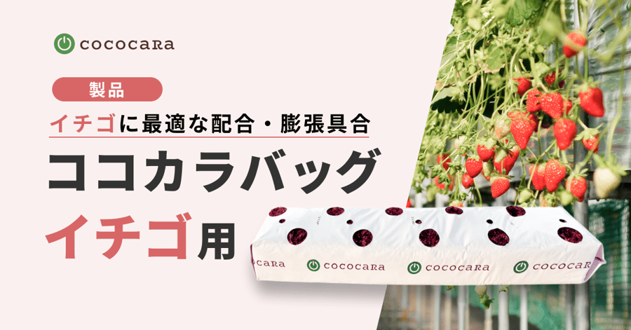 ココカラバッグイチゴ用サムネ-1