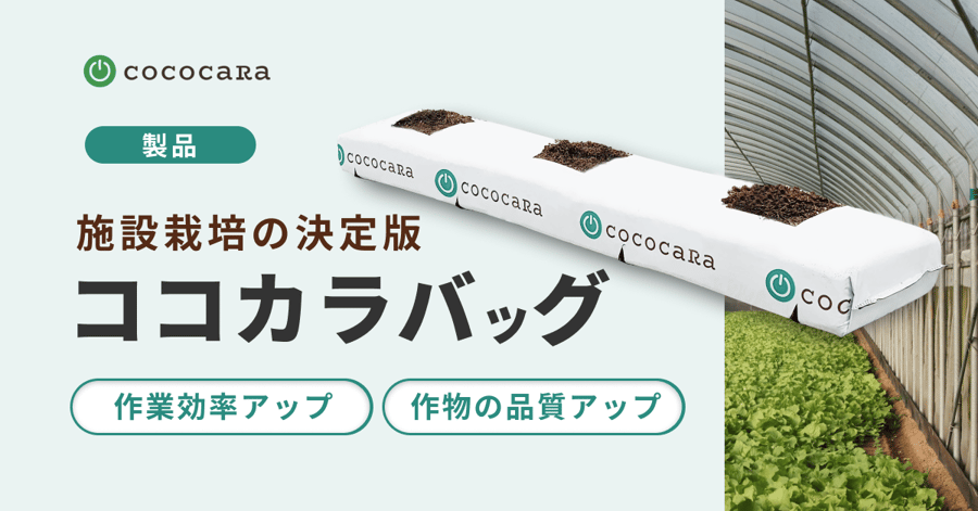 ココカラバッグ用サムネ-1