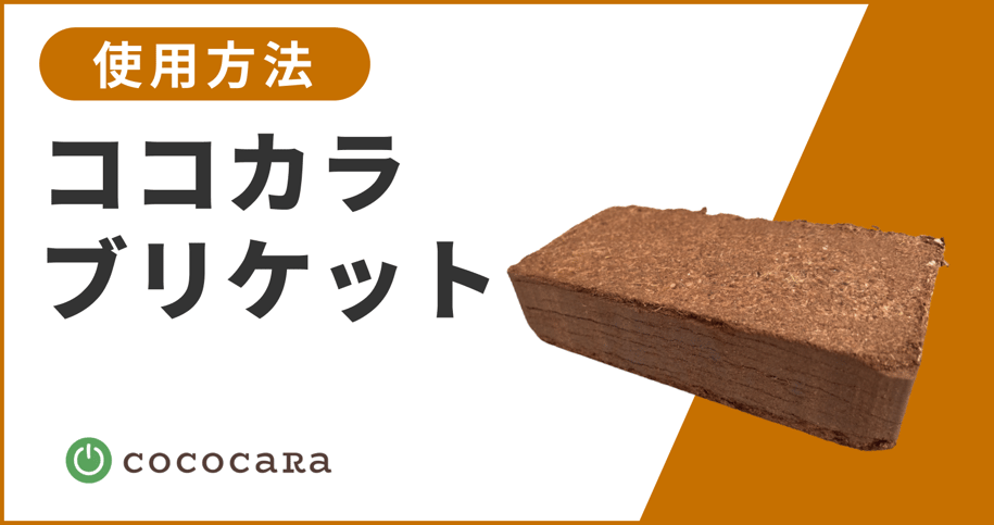 ココカラブリケット用サムネ