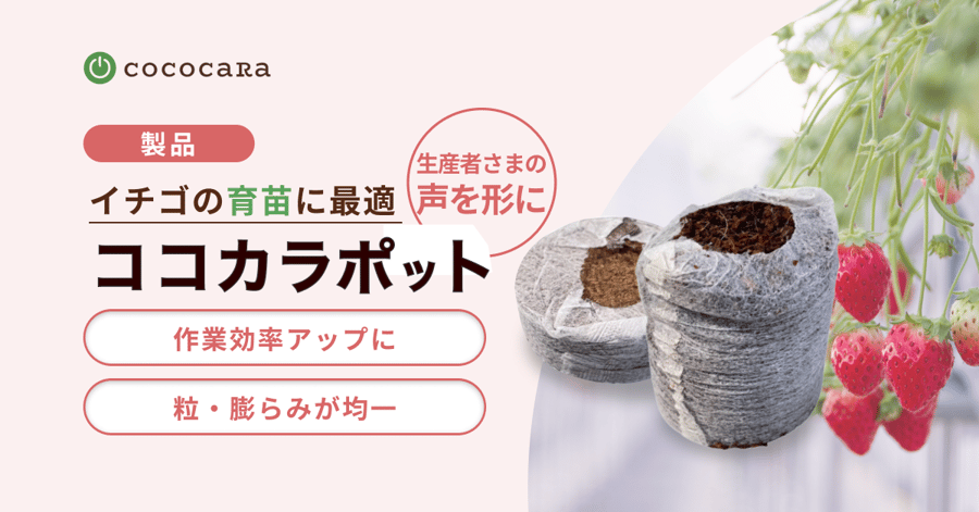 ココカラポットサムネ-1