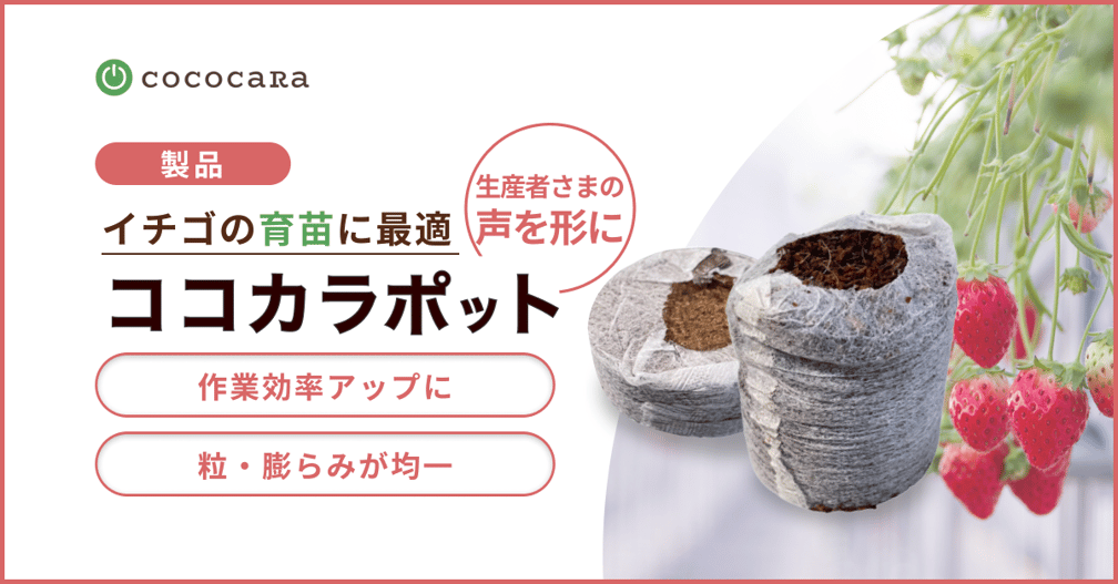 ココカラポットサムネ