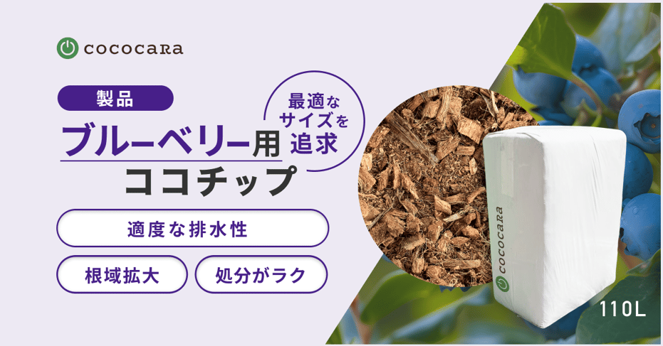 ブルーベリー用チップサムネ-1