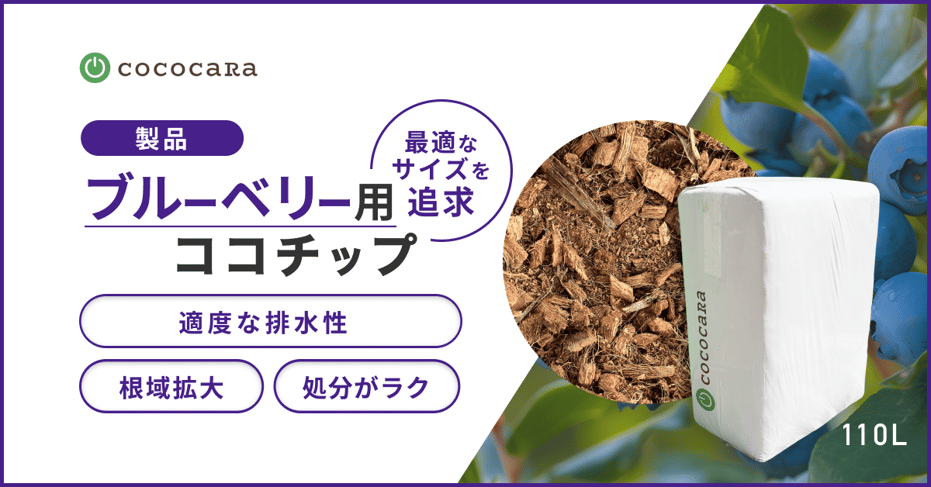 ブルーベリー用チップサムネ