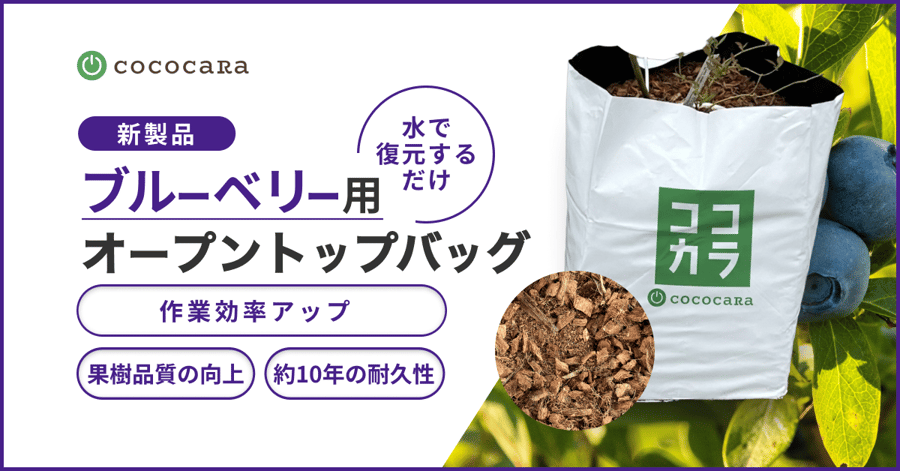 完成版_ブルーベリー用OTBサムネ