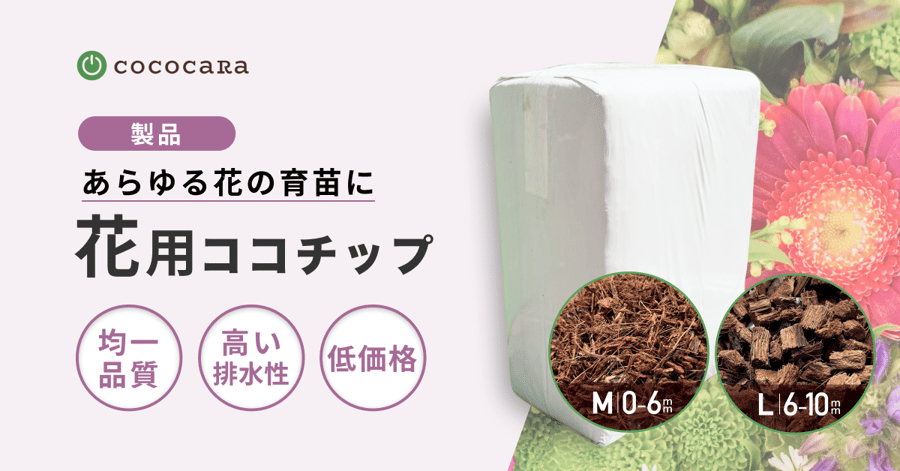 花用チップサムネ-1