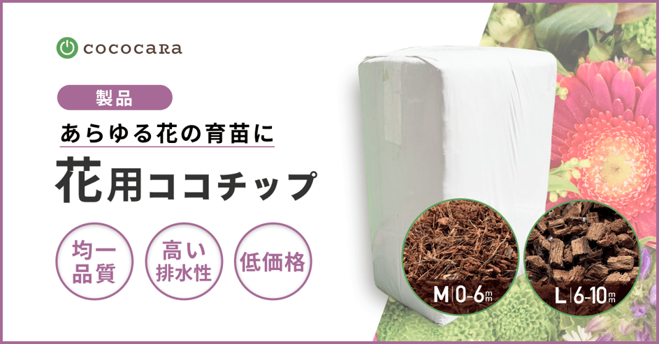 花用チップサムネ