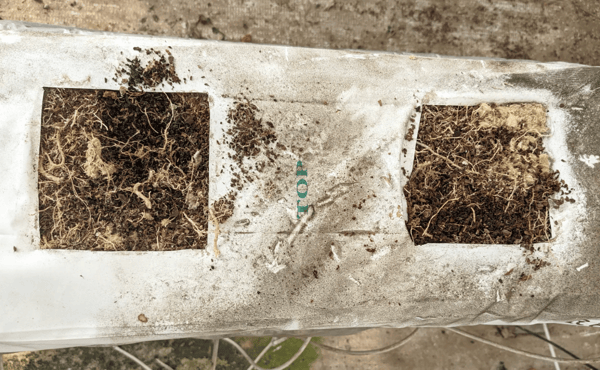 日光消毒バッグ2