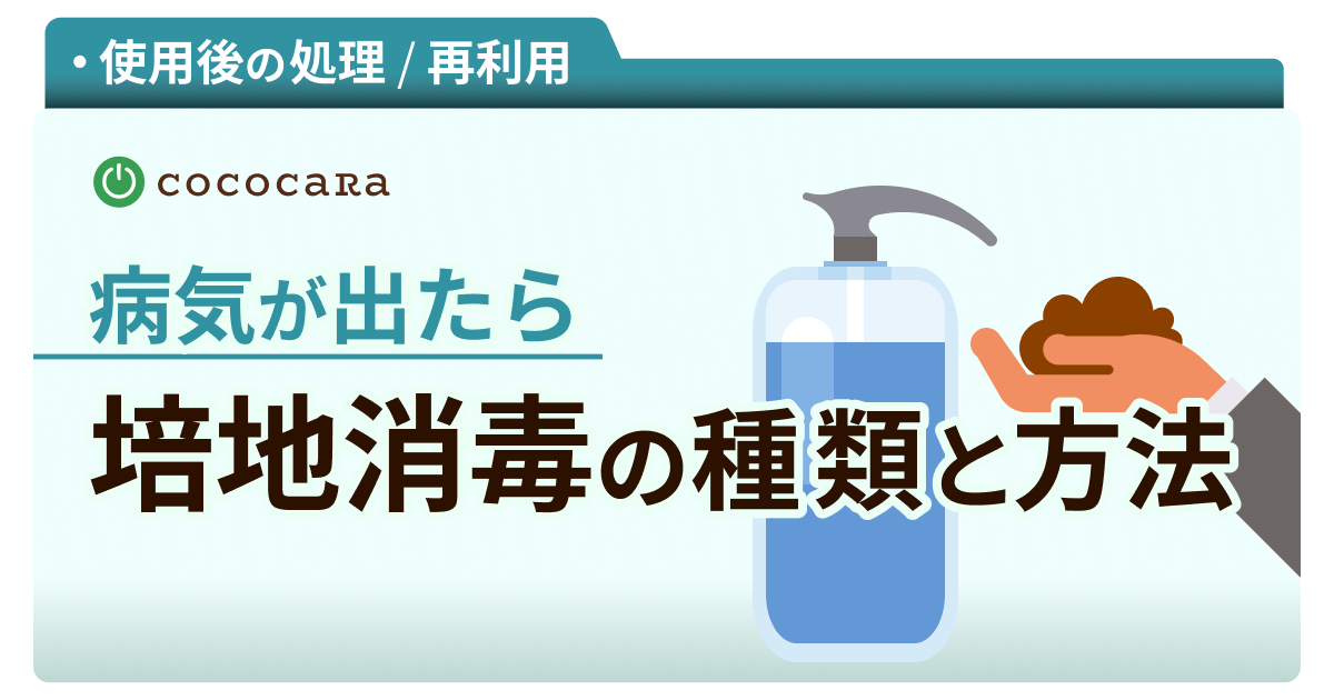 C6-02_ココピートの消毒
