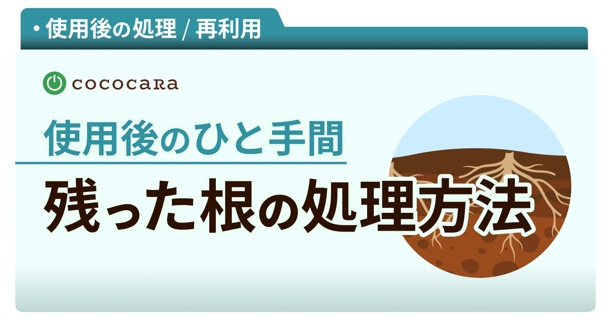 C6-03_根の処理
