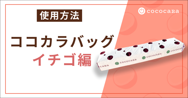 サムネ使用方法バッグイチゴ