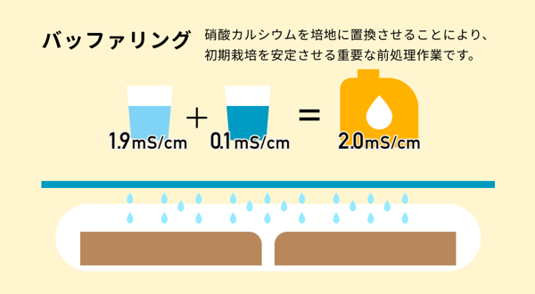 イチゴバッファリング3