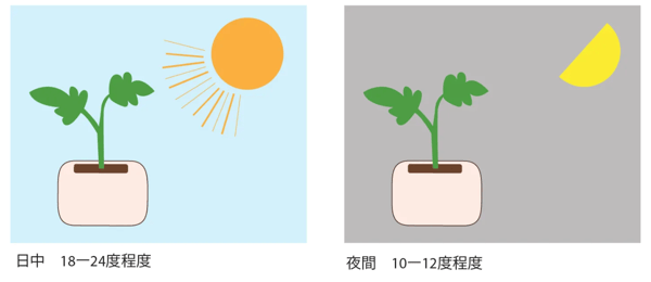 キューブ管理方法1