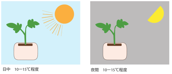 キューブ管理方法2