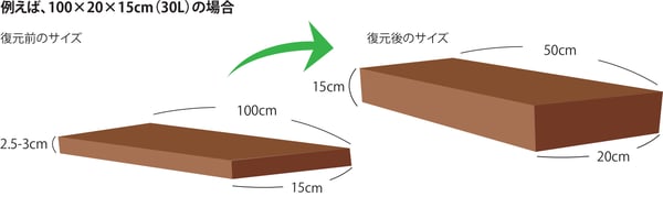 ココカラスラブ復元