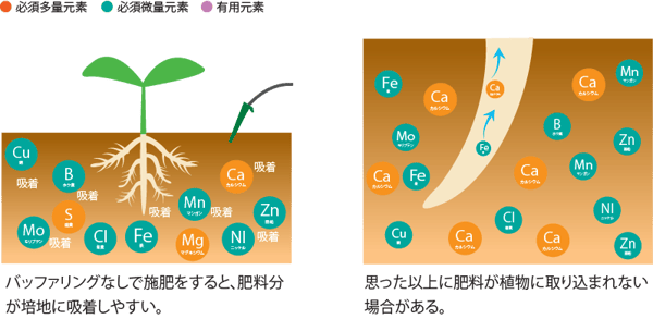 バッファリングなし施肥
