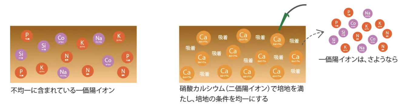 バッファリング