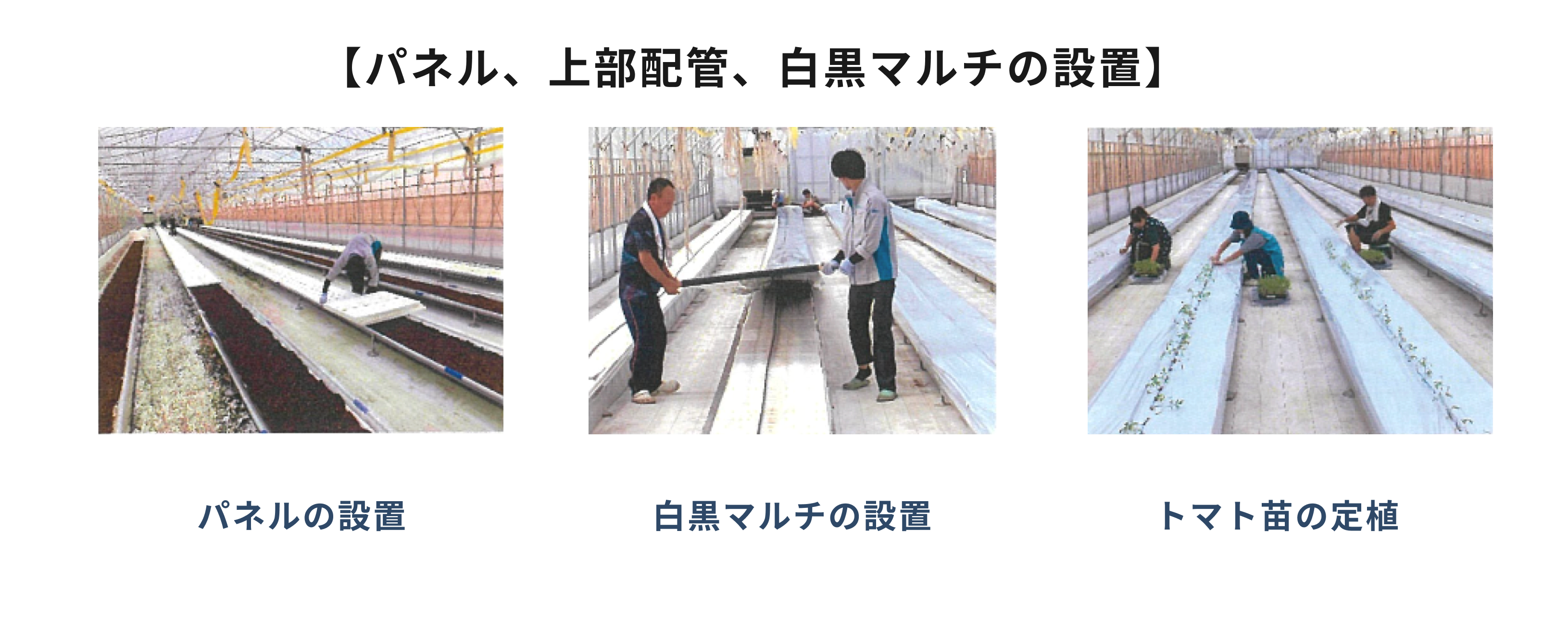 フィルム培土の使用方法-2