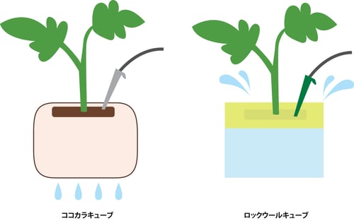 キューブ比較文字あり