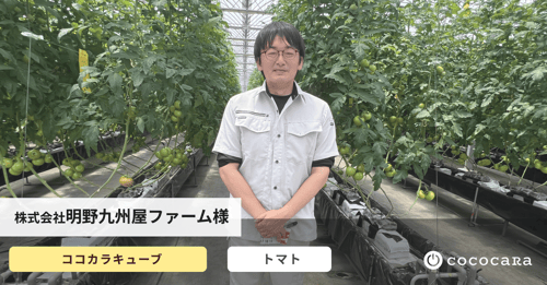 サムネ明野九州屋ファーム様