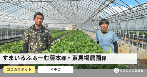 藤本ファームさん