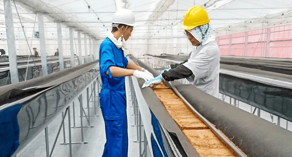 ココカラスラブ