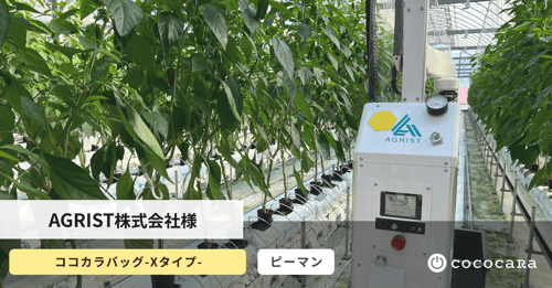 アグリストさん