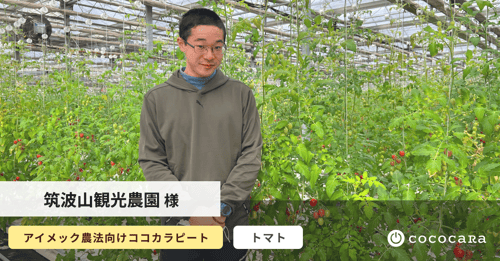 筑波山観光農園さん