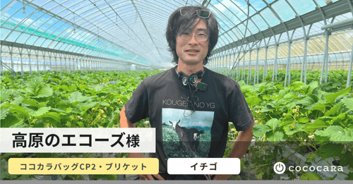 高原のエコーズ-4