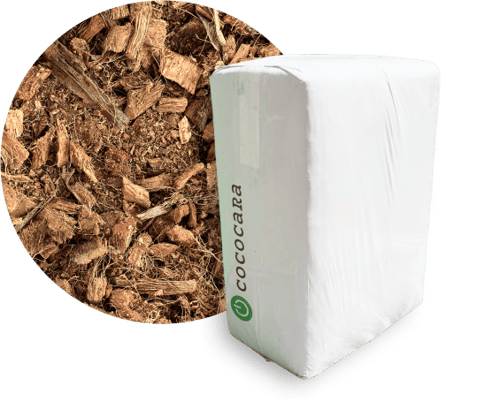 ブルべりチップ製品