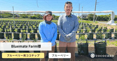 ブルーメイト様