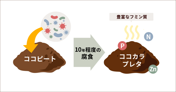 ココカラプレタ