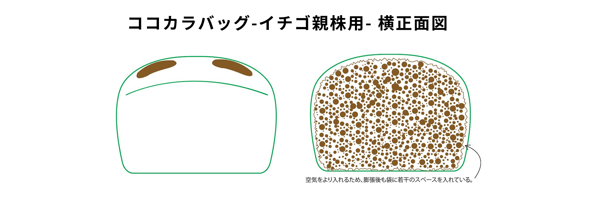横正面図