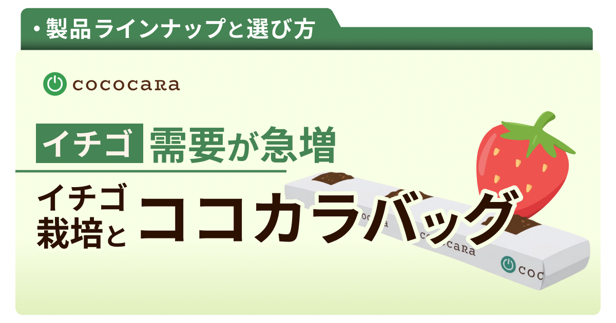 C2-04_イチゴ用バッグ.png