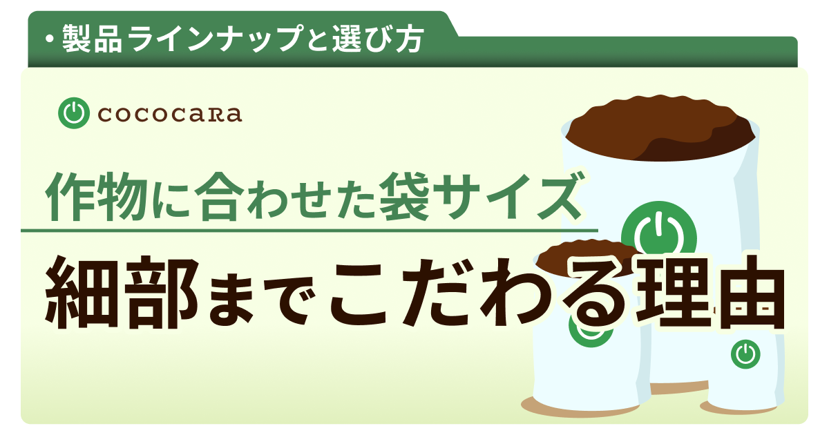 C2-06_袋サイズ