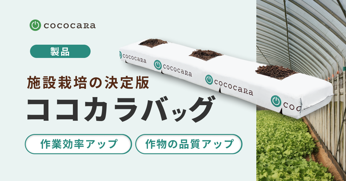 【製品】ココカラバッグ